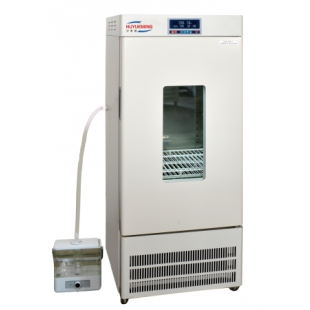 上海滬粵明霉菌培養(yǎng)箱 專業(yè)設(shè)備與一站式信息咨詢服務(wù)